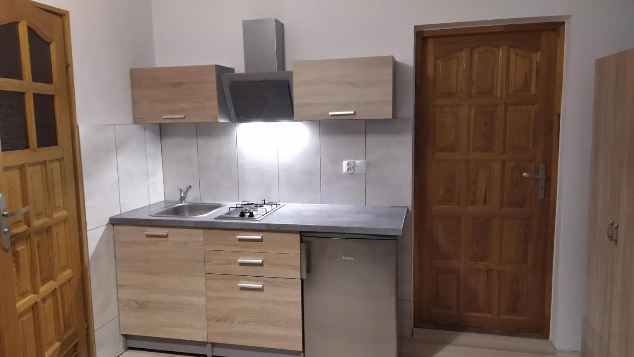Apartamenty Z Widokiem Na Gory Буковина-Татшаньска Экстерьер фото